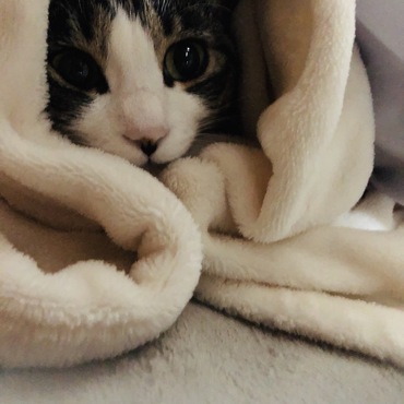 寒くなったね〜