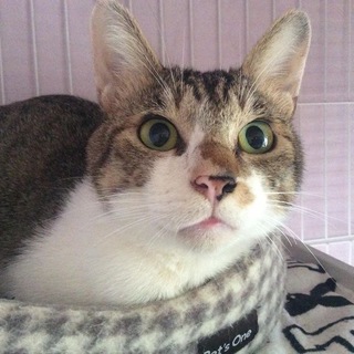 フレンドリーで甘えん坊の男の子