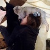 たかのまなみ