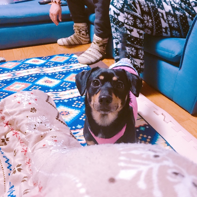 あめをのカバー写真