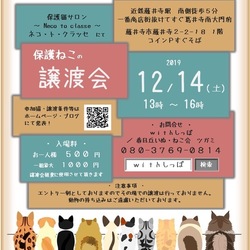 藤井寺市　保護猫譲渡会