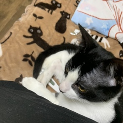 昨日・・・