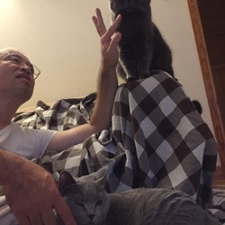 人気No.1 不動のセンター