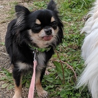 笑寿(ニコ)ちゃん