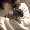 みいた。さん