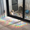 の写真