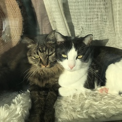 「こたつを出しました！」サムネイル2