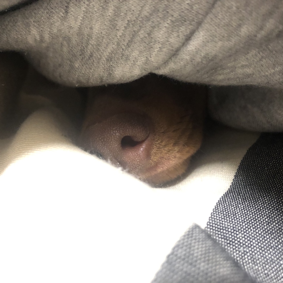 ねおのカバー写真