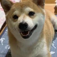 ひめ