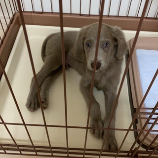 無事に迎え入れてくださる方が見つかりました。