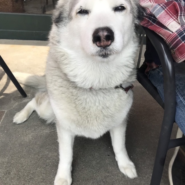 ♪りん♪のカバー写真