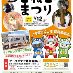まだまだこねこまつり