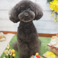 ぺーたん