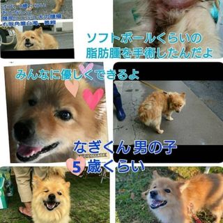 優しい男の子★なぎくん