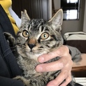 抱っこ大好きもみじちゃん