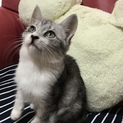 人懐っこい癒し系