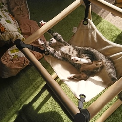 「姫&殿、監獄からの卒業と問題点の解決」サムネイル2