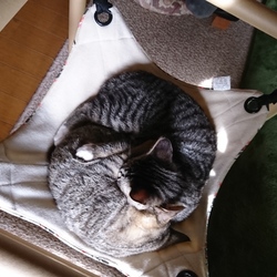 「姫&殿、監獄からの卒業と問題点の解決」サムネイル3