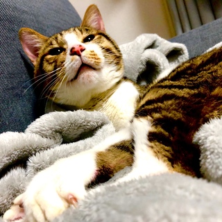 緊急です。時間がありません。