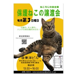 第63回『保護ねこの譲渡会』
