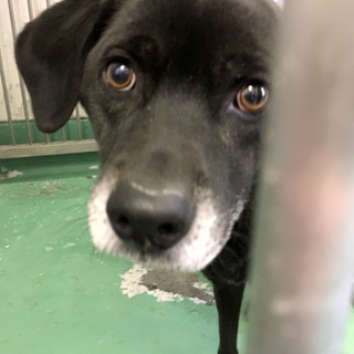 センター来訪者に譲渡されました