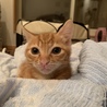 人馴れ抜群ミルクから育てた男の子 サムネイル3
