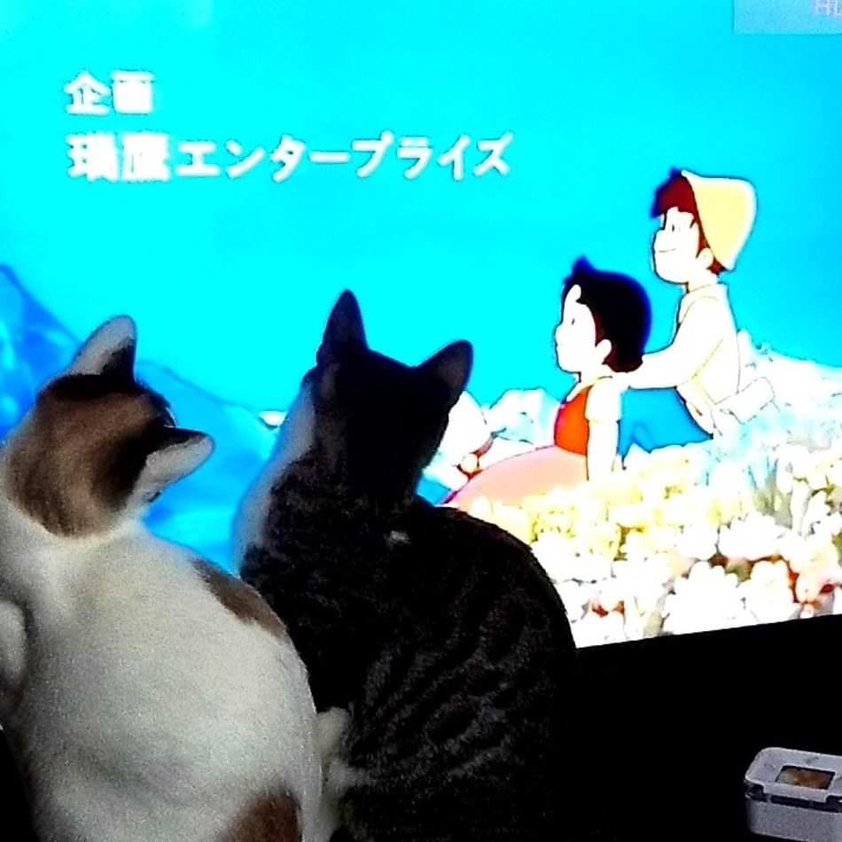 ビビとガガのカバー写真