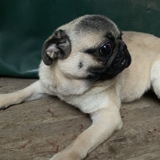 ご応募ありがとうございました。