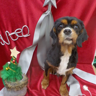 ★おっとりさんで優しい男の子★