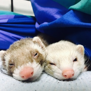 素敵なご家族に出会えました。