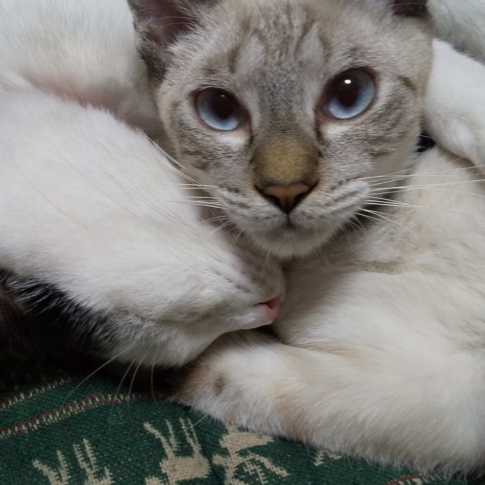 木ノ実（このみ）のカバー写真