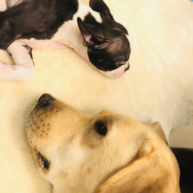 チトo2のカバー写真