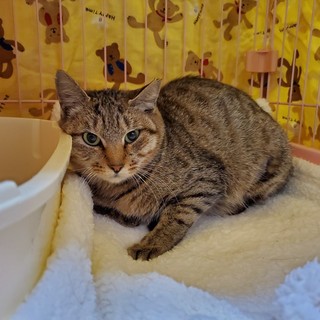 急募！時間がありません