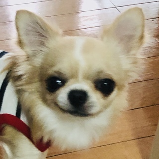 幸せになりました。ありがとうございました。
