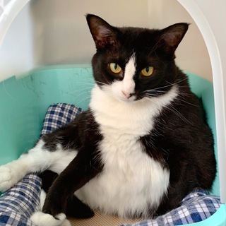 優しいライコちゃん