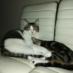 ウザい？いや、かわいい！