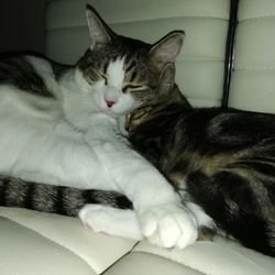 「ウザい？いや、かわいい！」サムネイル2