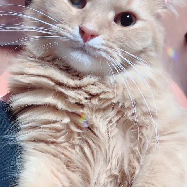 ゆんゆん0808のカバー写真