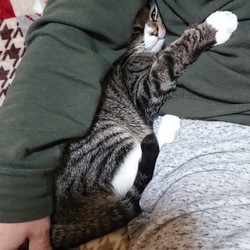 令和元年も、やっぱり片思い