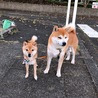 まさみきみー