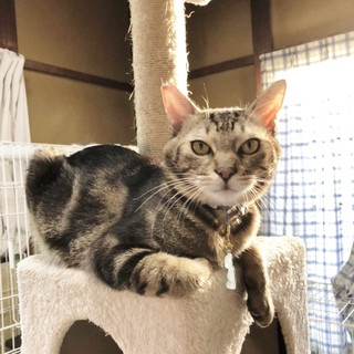 甘えん坊ストーカーな僕です。