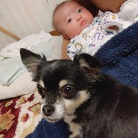 もんた