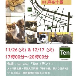 １２月１７日(火)　麻布十番ナイター里親会（ボランティアも募集中）