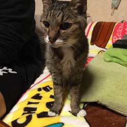 「続、仁義なきお魚パー」サムネイル1