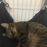 だいぶ慣れてきた