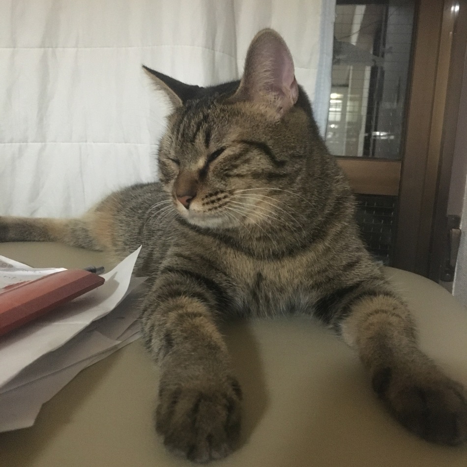 甘神様のカバー写真