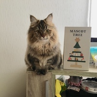 わたげ