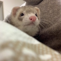 むむ