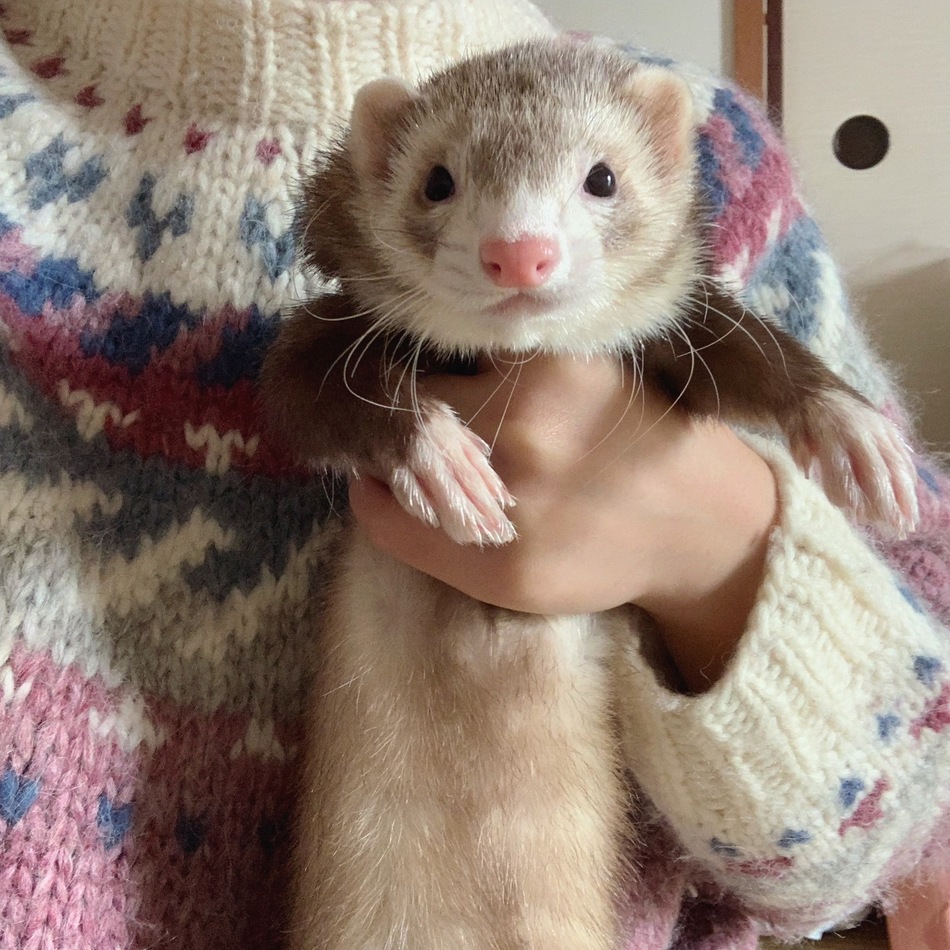 むむのカバー写真