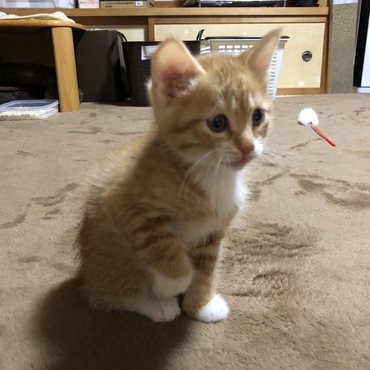 ここはどこ？